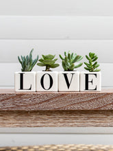 suculentas-maceta-con-iniciales-palabra-love-suculentas-de-regalo-amor-y-amistad-regalos-para-hombres-regalos-san-valentin-amor-y-amistad-cuidado-de-suculentas-regalo-de-aniversario-h.jpg